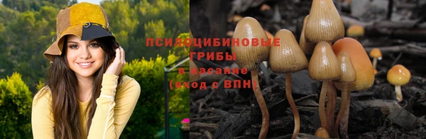 соль ск Лиски