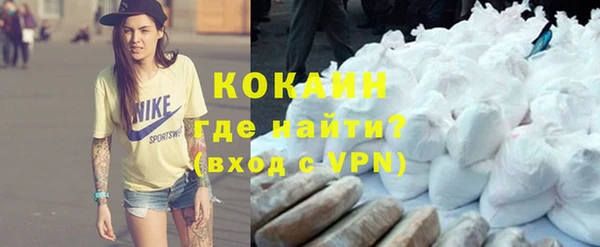 соль ск Лиски