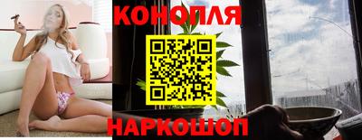 прущие крисы Малгобек