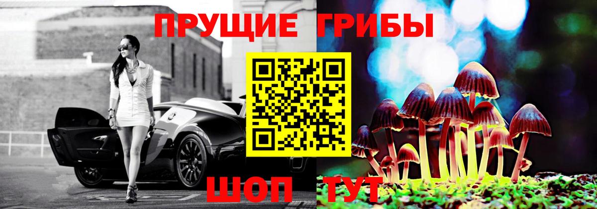 Псилоцибиновые грибы Cubensis Ростов-на-Дону