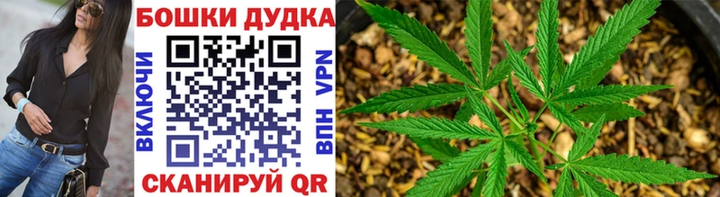 купить   Ростов-на-Дону  нарко площадка наркотические препараты  Канабис THC 21% 
